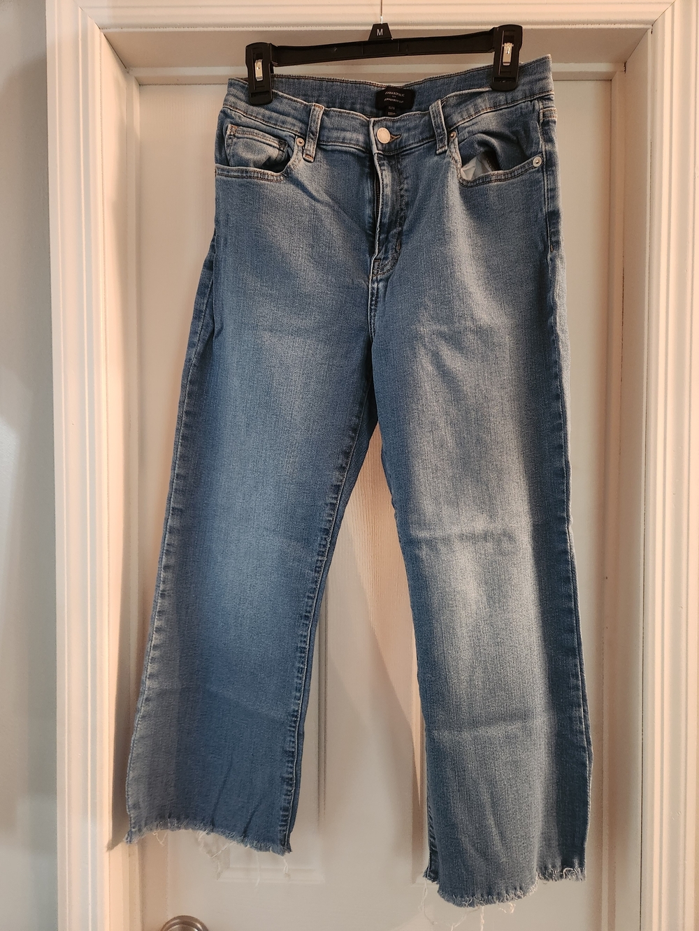 Banana Republic Light Blue Cropped Straight-Leg Jeans with Raw Hem